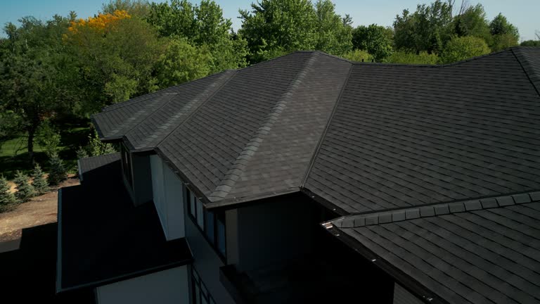 Best Roof Leak Repair  in American Falls, ID